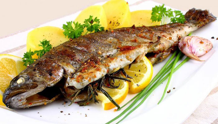 ماهی سفید شکم پر